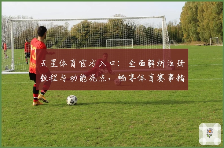 五星体育官方入口：全面解析注册教程与功能亮点，畅享体育赛事精彩体验