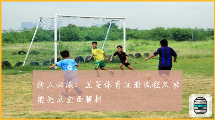 新人必读：五星体育注册流程及功能亮点全面解析