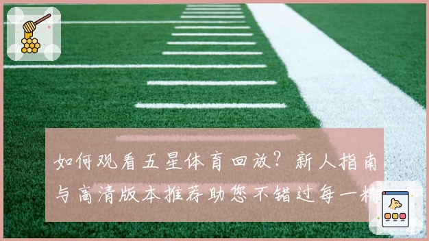 如何观看五星体育回放?新人指南与高清版本推荐助您不错过每一精彩瞬间