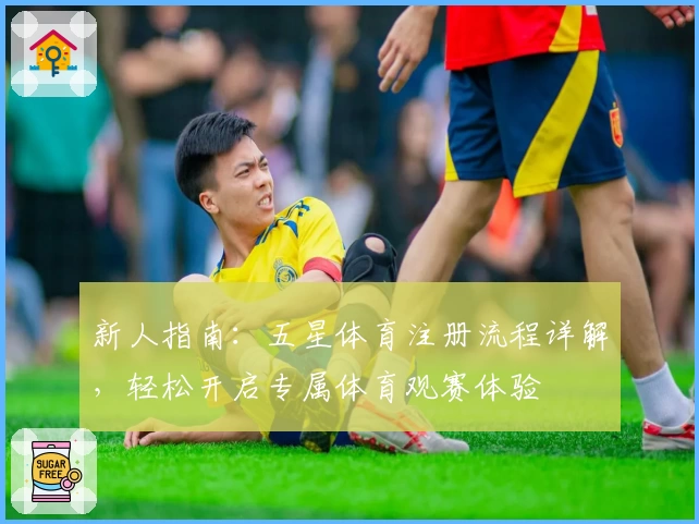 新人指南：五星体育注册流程详解，轻松开启专属体育观赛体验