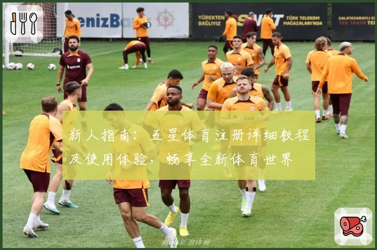新人指南：五星体育注册详细教程及使用体验，畅享全新体育世界
