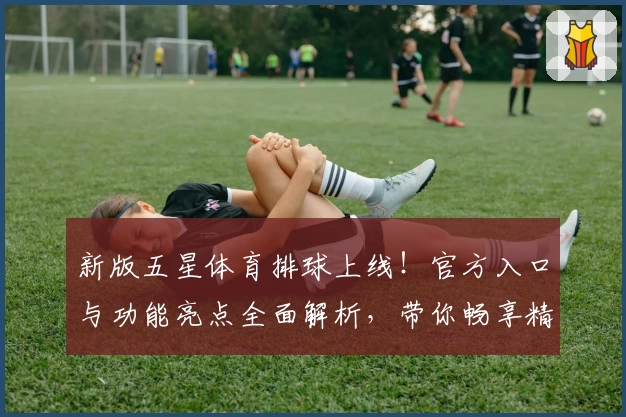 新版五星体育排球上线!官方入口与功能亮点全面解析,带你畅享精彩赛事魅力