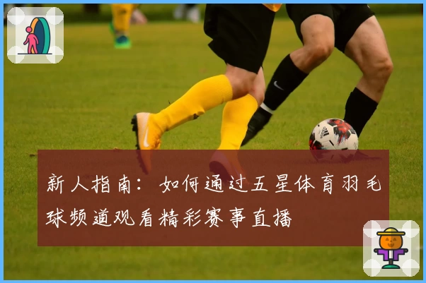 新人指南：如何通过五星体育羽毛球频道观看精彩赛事直播