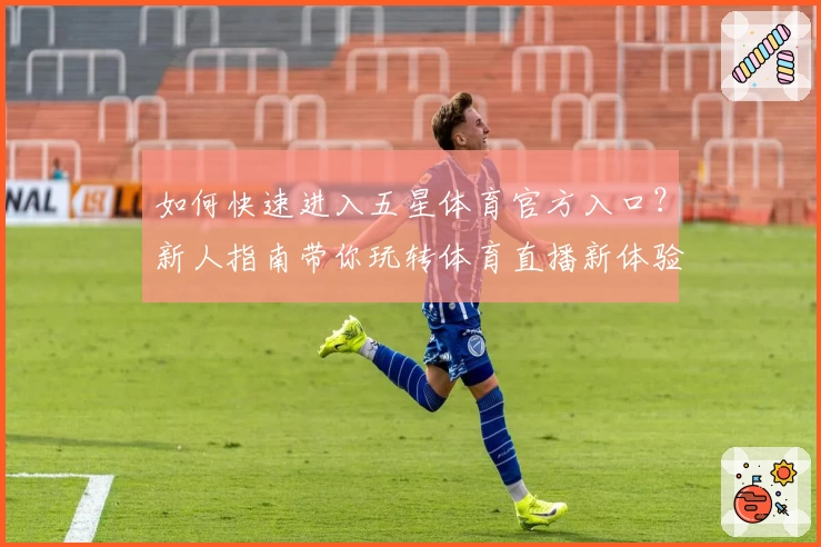 如何快速进入五星体育官方入口？新人指南带你玩转体育直播新体验