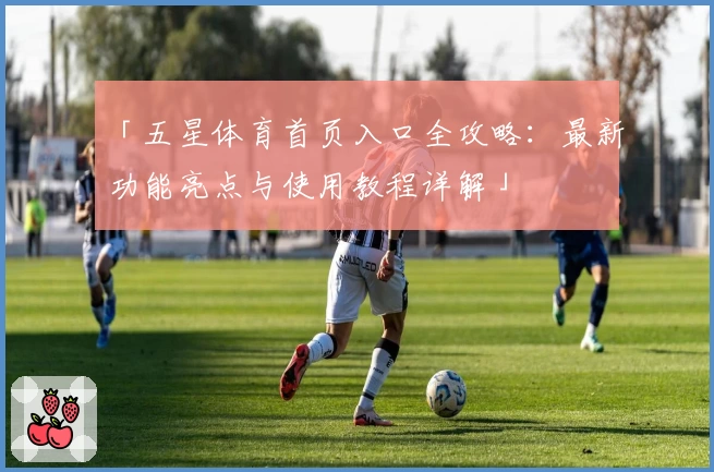 「五星体育首页入口全攻略：最新功能亮点与使用教程详解」