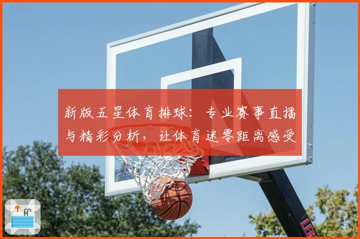 新版五星体育排球：专业赛事直播与精彩分析，让体育迷零距离感受赛场魅力