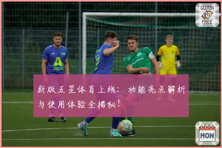 新版五星体育上线：功能亮点解析与使用体验全揭秘！