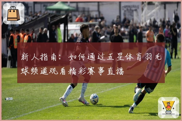 新人指南：如何通过五星体育羽毛球频道观看精彩赛事直播