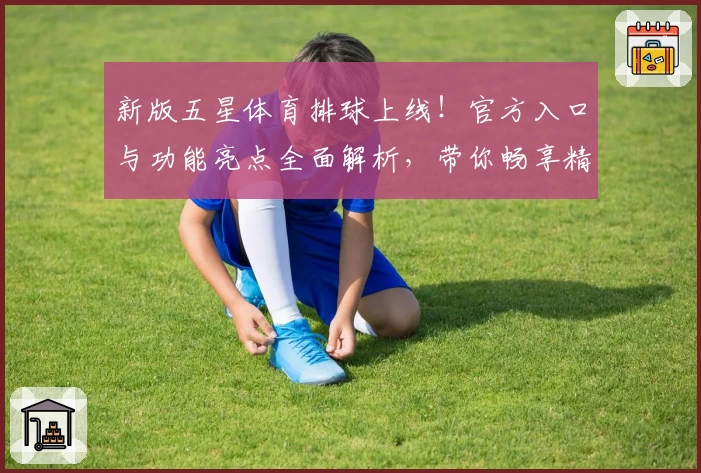 新版五星体育排球上线!官方入口与功能亮点全面解析,带你畅享精彩赛事魅力