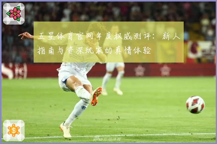 五星体育官网年度权威测评：新人指南与资深玩家的真情体验