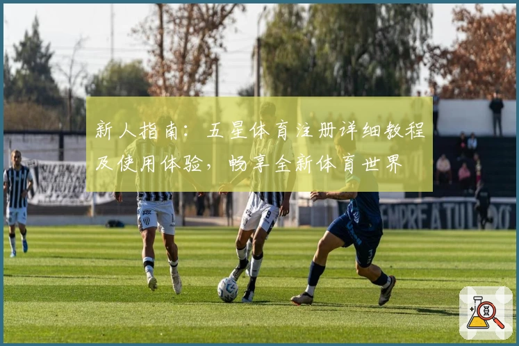 新人指南：五星体育注册详细教程及使用体验，畅享全新体育世界